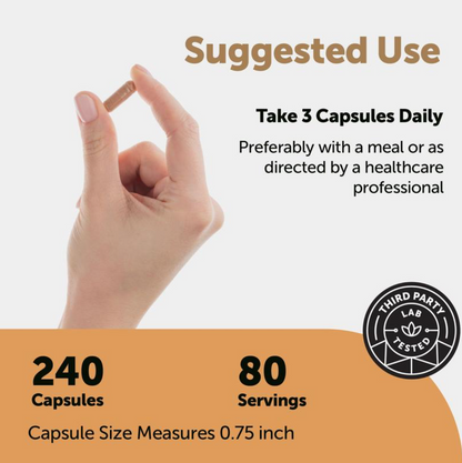 Microlabs Nattokinase 10,000FU Complex